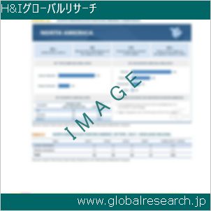 グローバルリサーチ調査レポートのイメージ